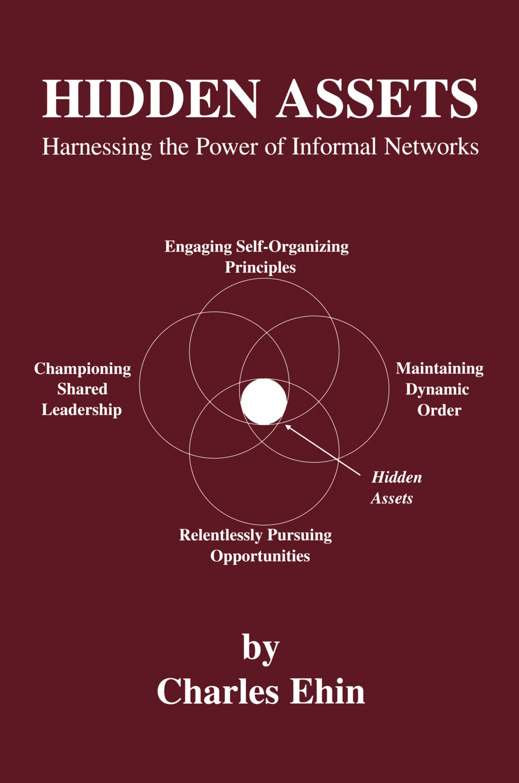 Vorderes Coverbild Hidden Assets