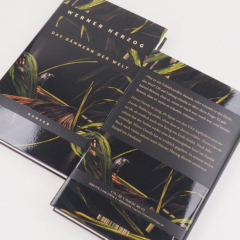 Beispielinhalt (Bild) Das Dämmern der Welt