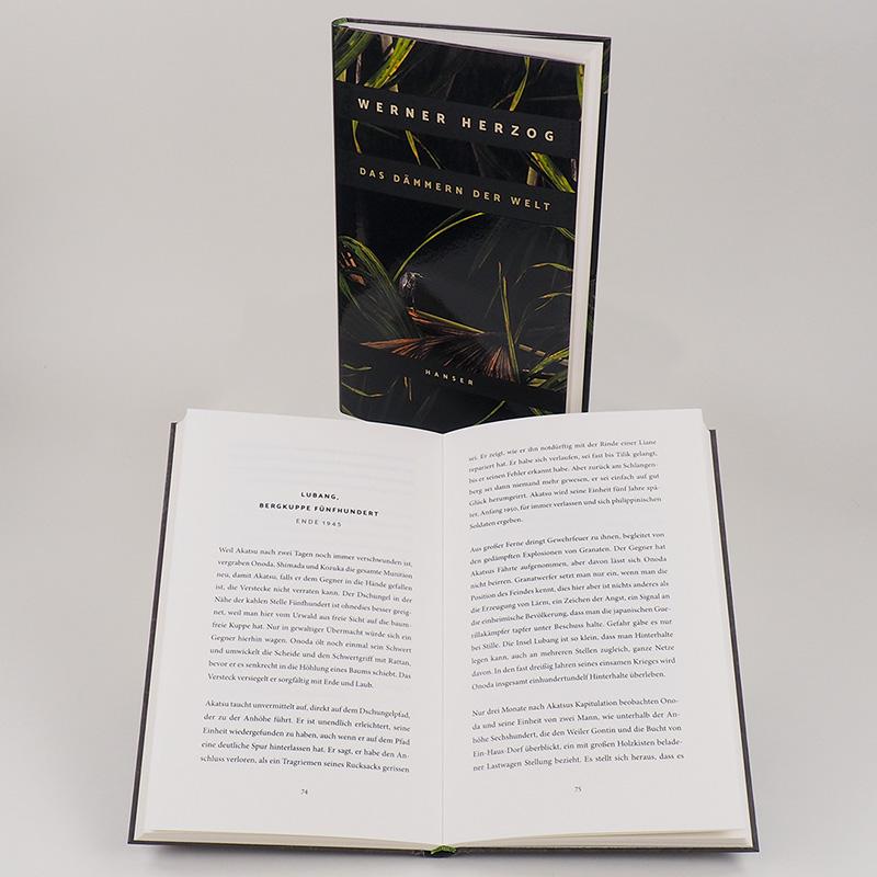 Beispielinhalt (Bild) Das Dämmern der Welt