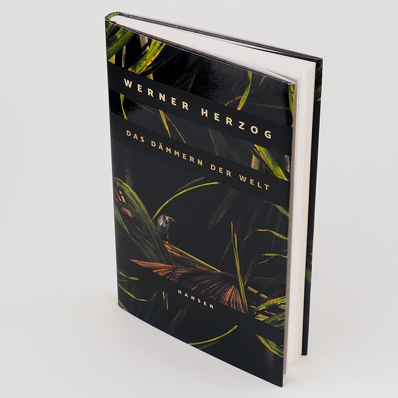 Beispielinhalt (Bild) Das Dämmern der Welt