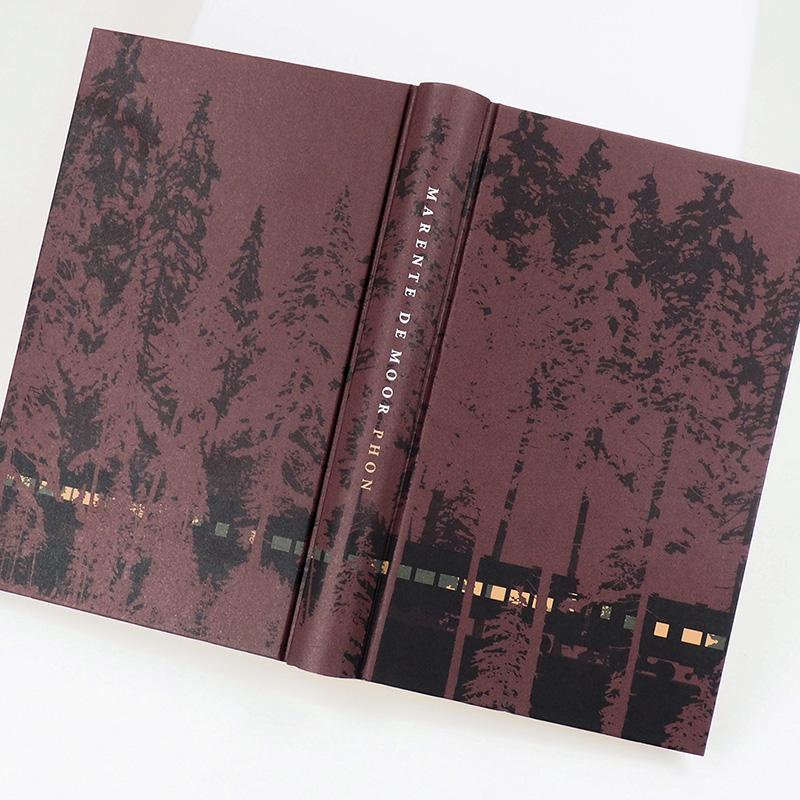 Beispielinhalt (Bild) Phon