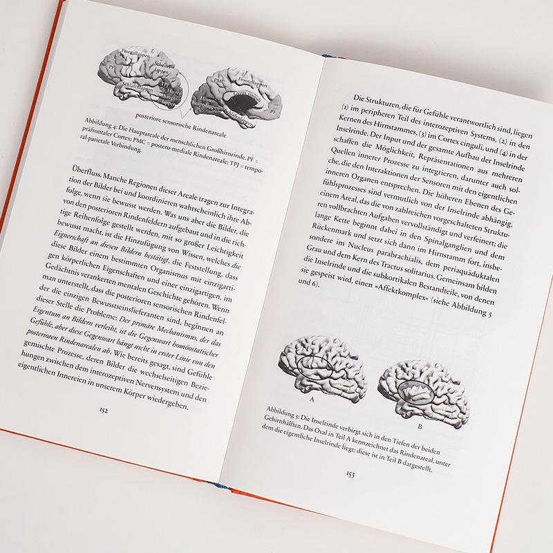 Beispielinhalt (Bild) Wie wir denken, wie wir fühlen