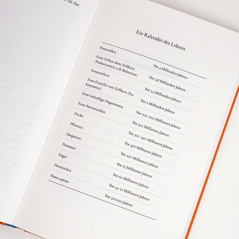 Beispielinhalt (Bild) Wie wir denken, wie wir fühlen