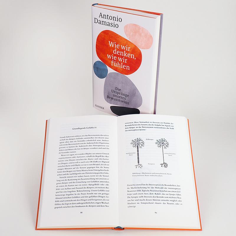 Beispielinhalt (Bild) Wie wir denken, wie wir fühlen