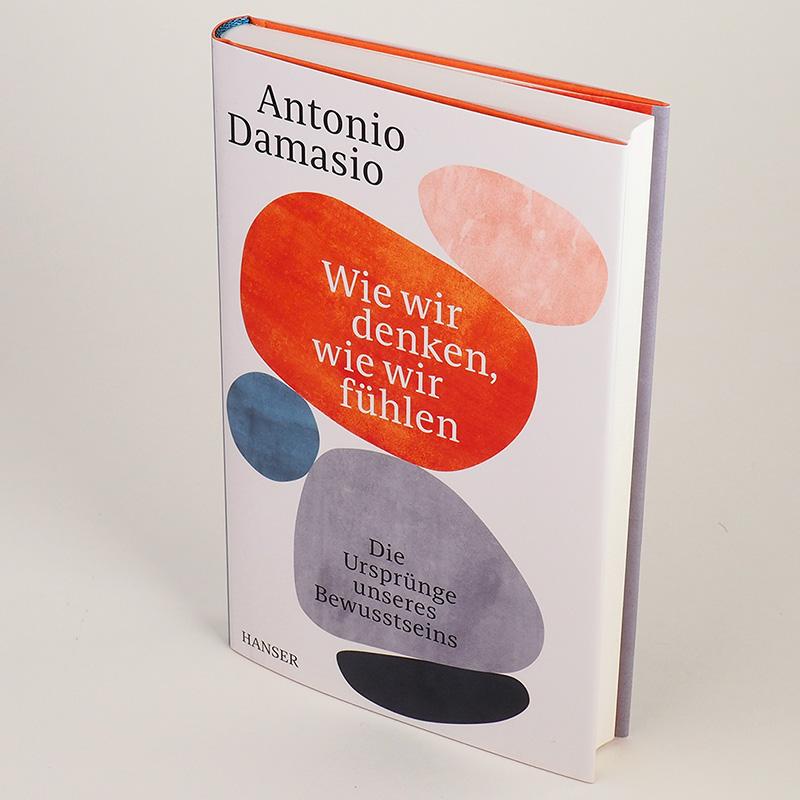 Beispielinhalt (Bild) Wie wir denken, wie wir fühlen