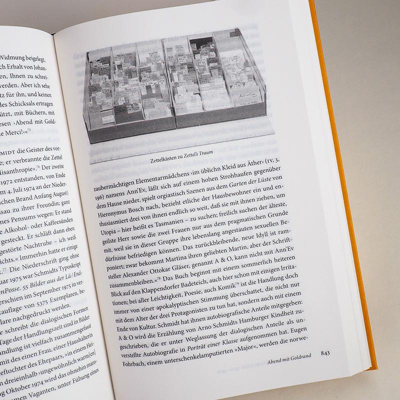 Beispielinhalt (Bild) Arno Schmidt