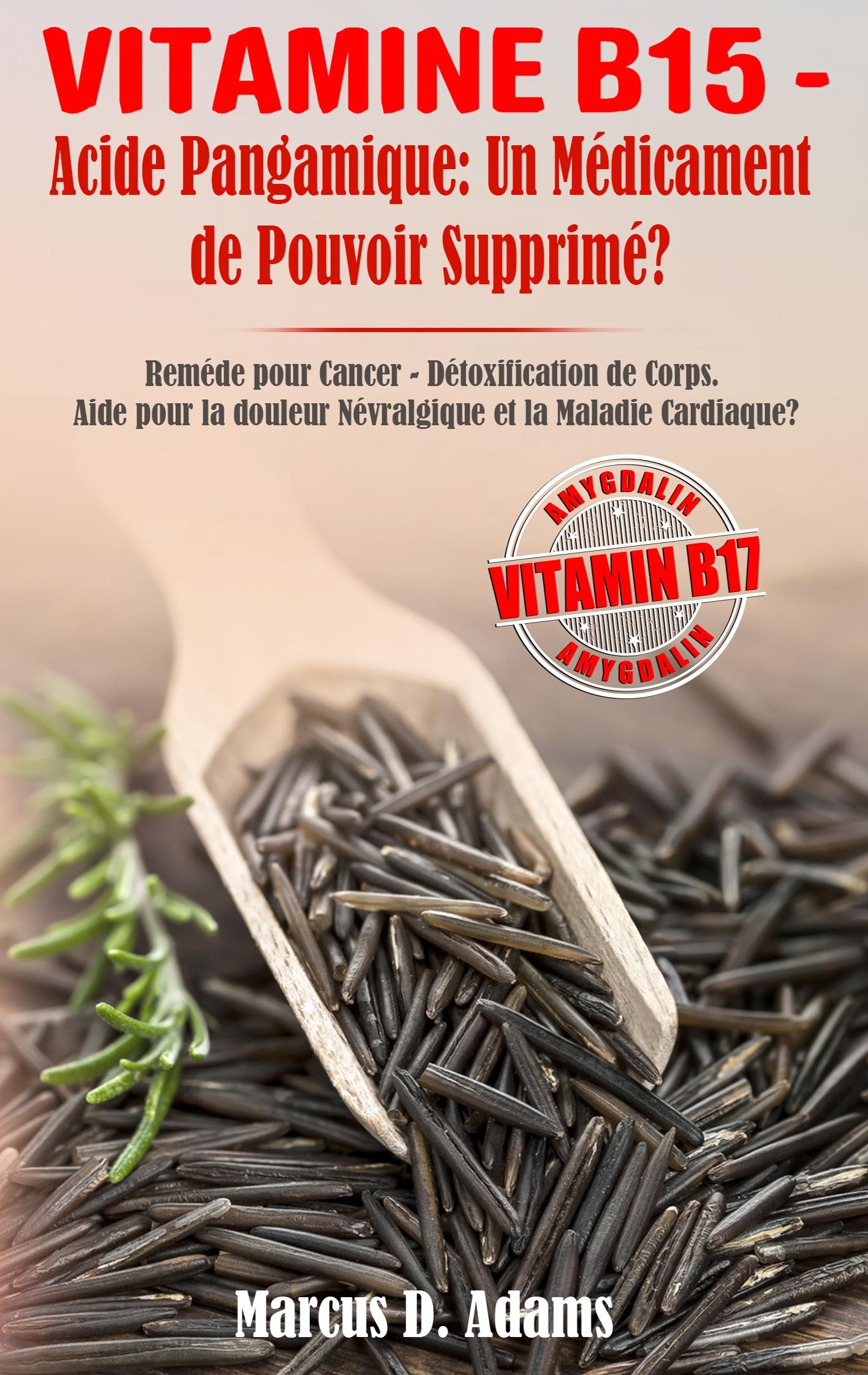 Vorderes Coverbild Vitamine B15 - Acide Pangamique: Un Médicament de Pouvoir Supprimé?