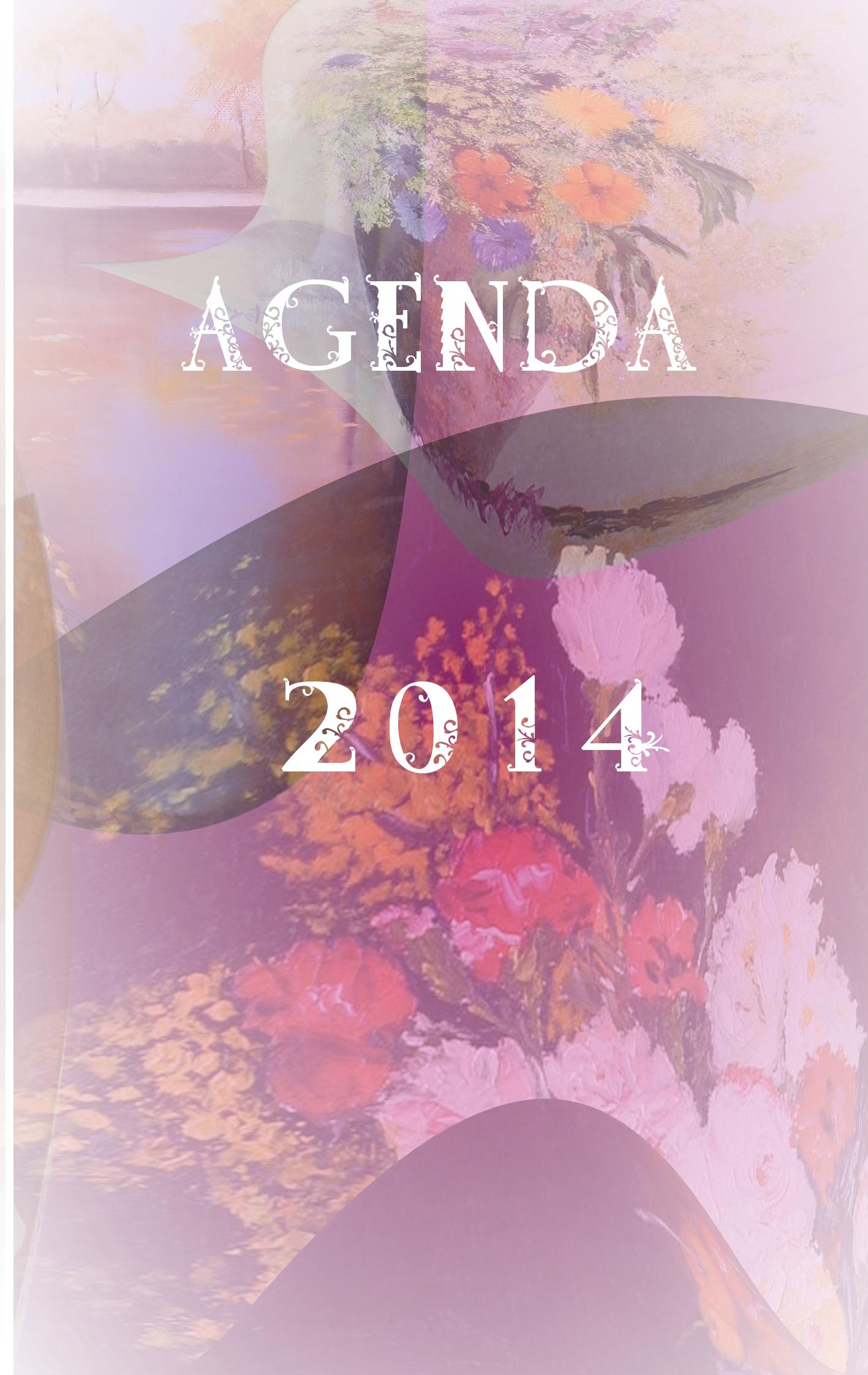 Vorderes Coverbild Agenda 2014
