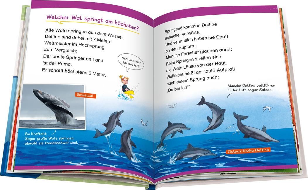 Beispielinhalt (Bild) Wieso? Weshalb? Warum? Erstleser: Wale und Delfine (Band 3)