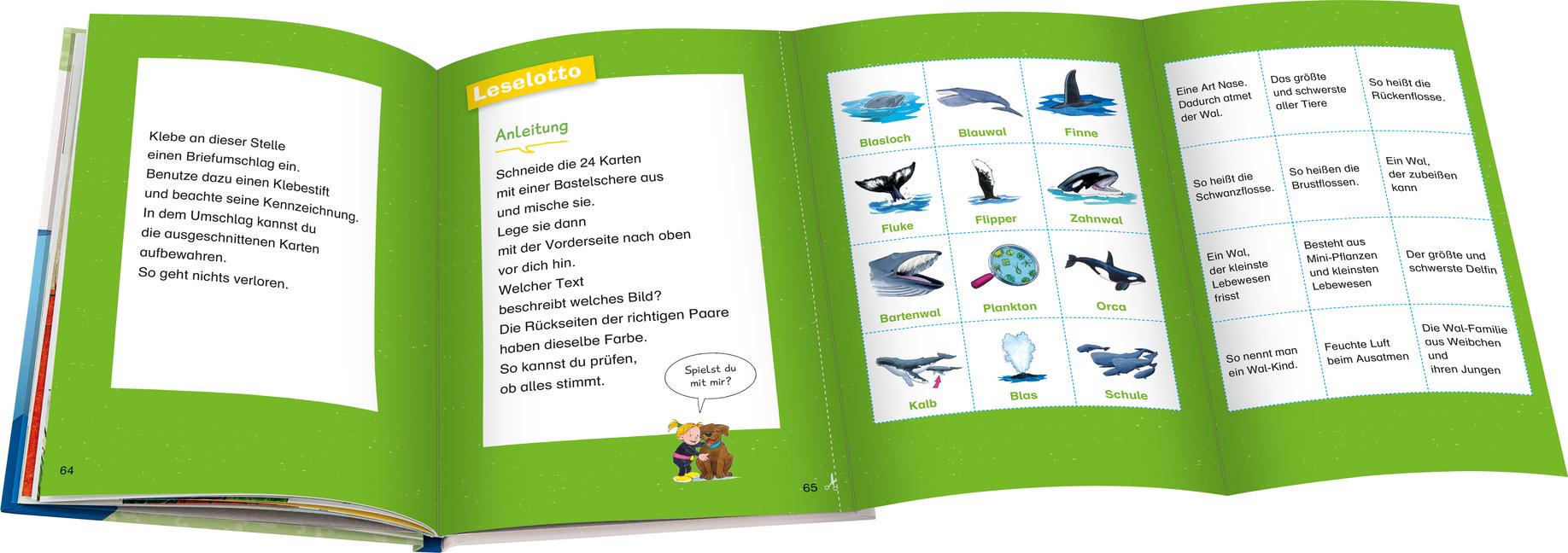 Beispielinhalt (Bild) Wieso? Weshalb? Warum? Erstleser: Wale und Delfine (Band 3)