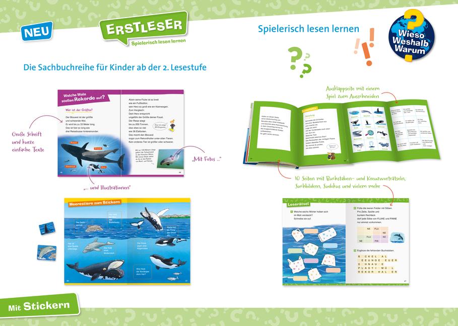 Beispielinhalt (Bild) Wieso? Weshalb? Warum? Erstleser: Wale und Delfine (Band 3)