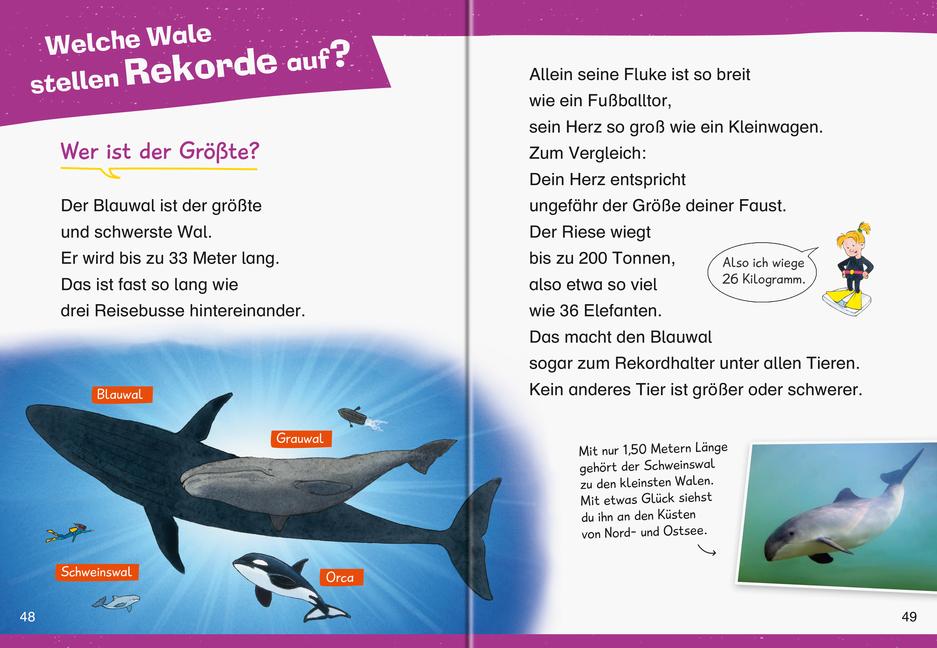 Beispielinhalt (Bild) Wieso? Weshalb? Warum? Erstleser: Wale und Delfine (Band 3)