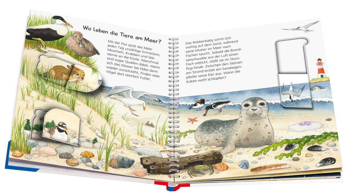 Beispielinhalt (Bild) Wieso? Weshalb? Warum? junior, Band 33: Tiere bei uns