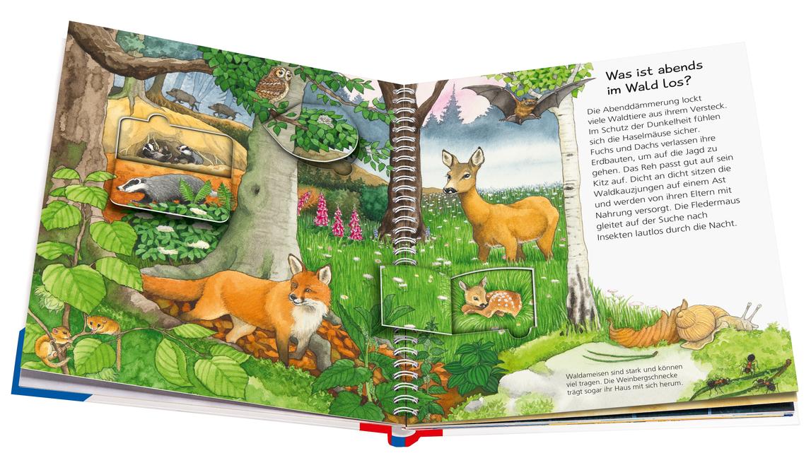 Beispielinhalt (Bild) Wieso? Weshalb? Warum? junior, Band 33: Tiere bei uns