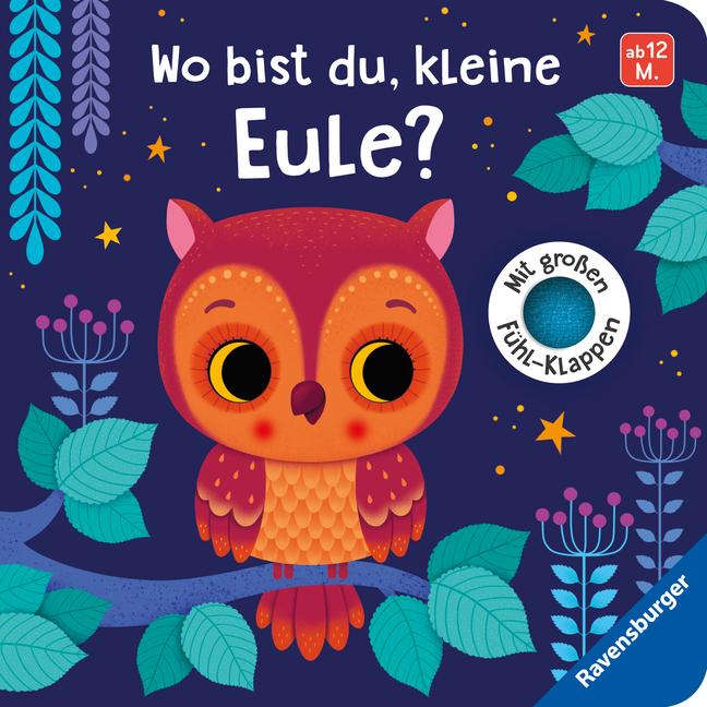 Vorderes Coverbild Wo bist du, kleine Eule?