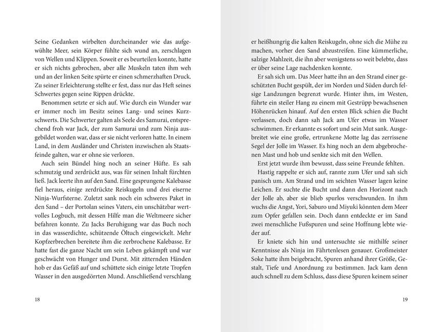Beispielinhalt (Bild) Samurai, Band 8: Der Ring des Himmels
