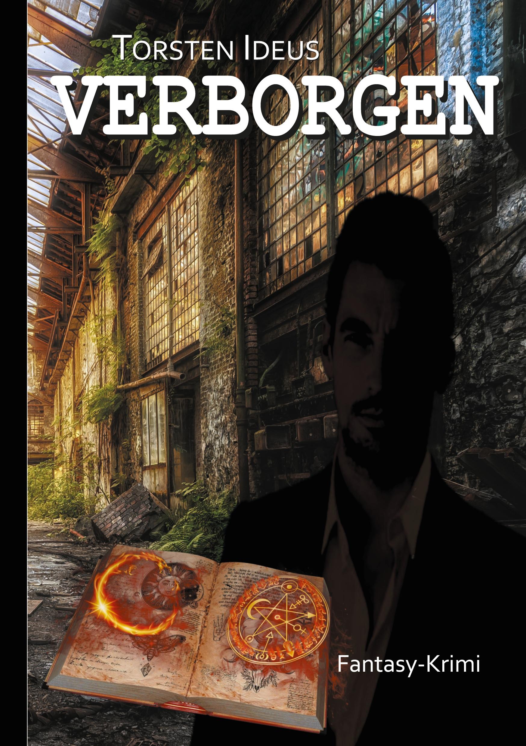 Vorderes Coverbild Verborgen
