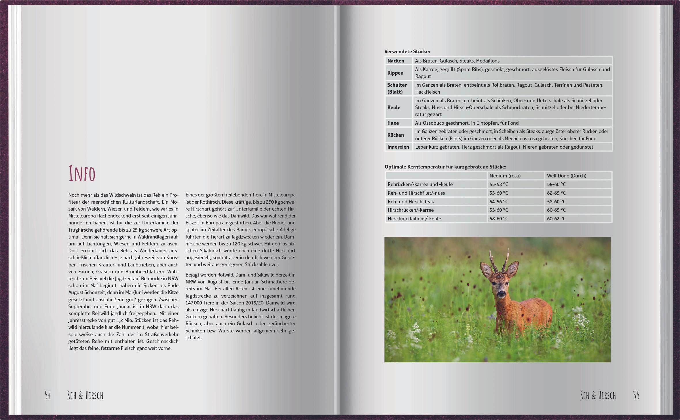 Beispielinhalt (Bild) Richtig Wild!