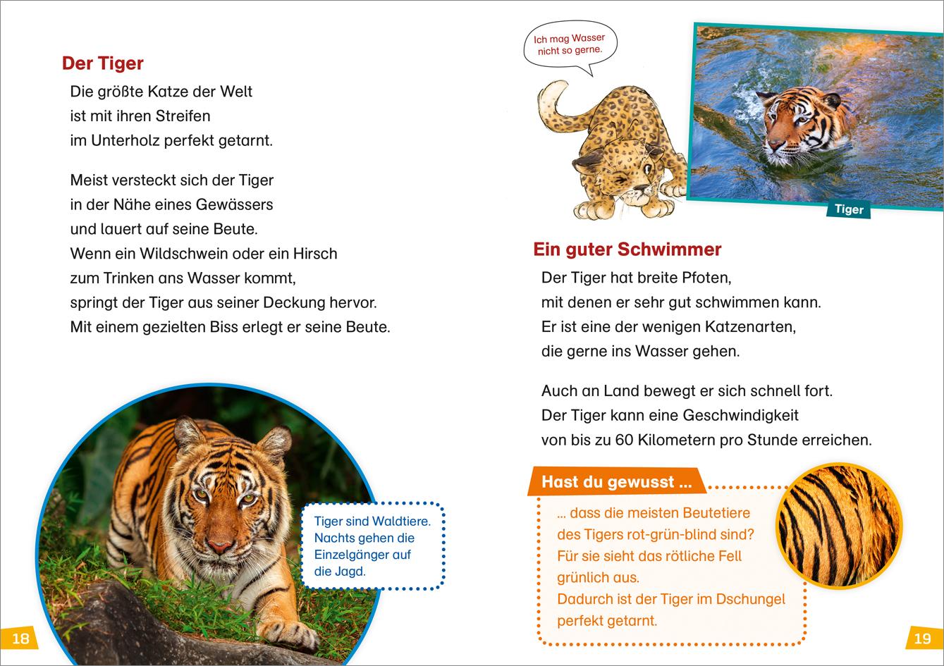 Beispielinhalt (Bild) WAS IST WAS Erstes Lesen Band 17. Raubkatzen