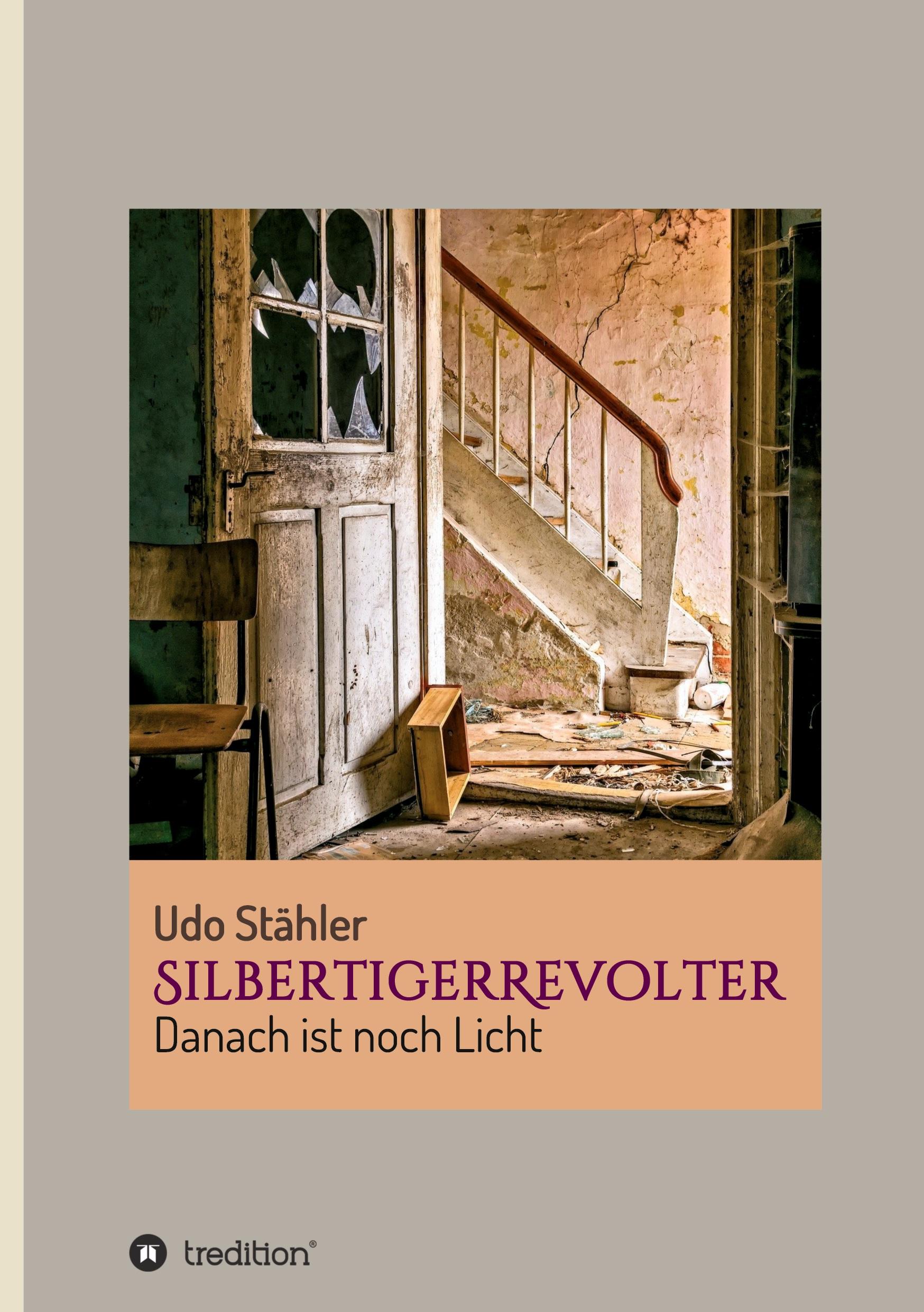 Vorderes Coverbild SilbertigerRevolter