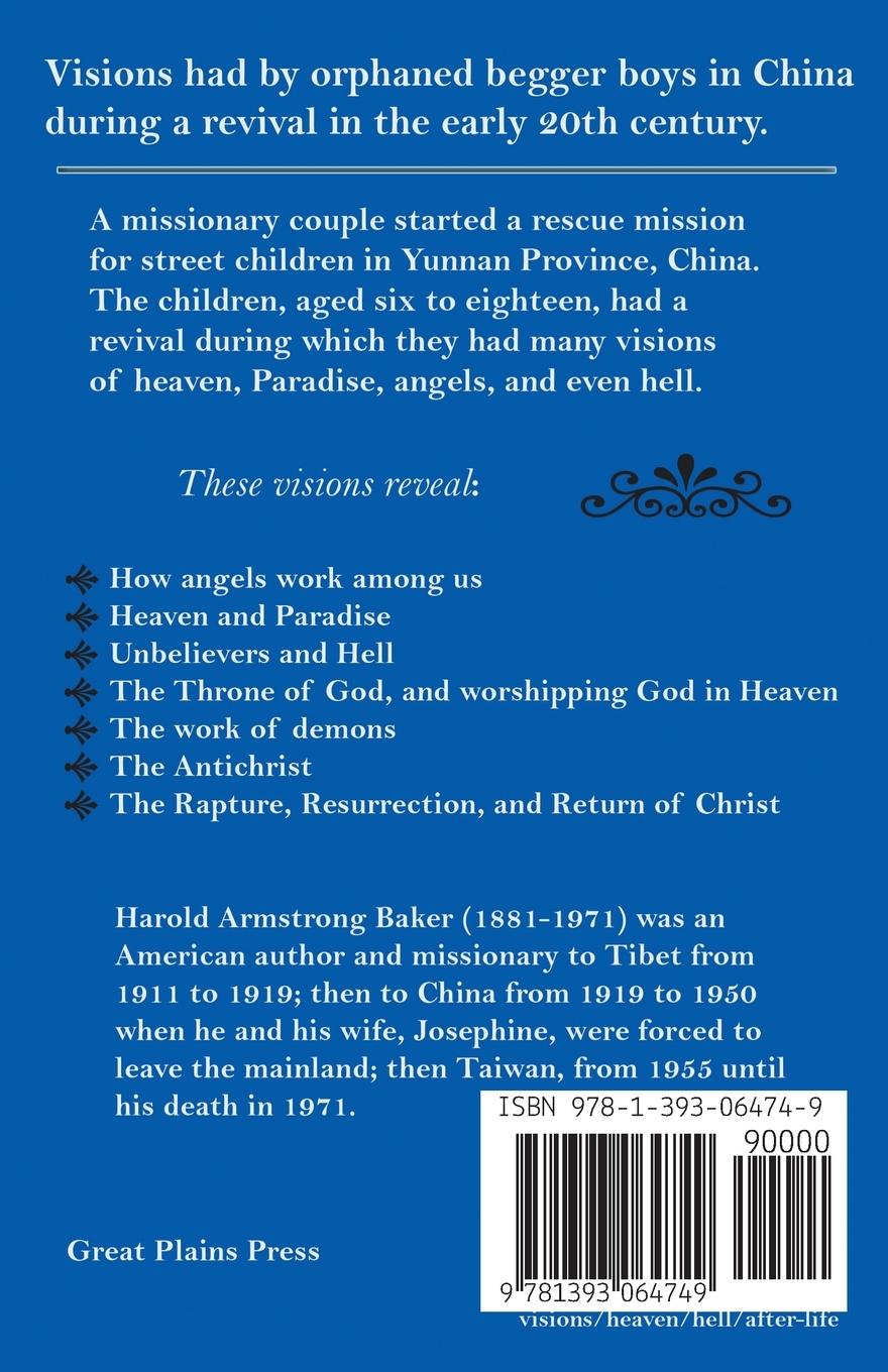 Rückseitencover Visions Beyond The Veil