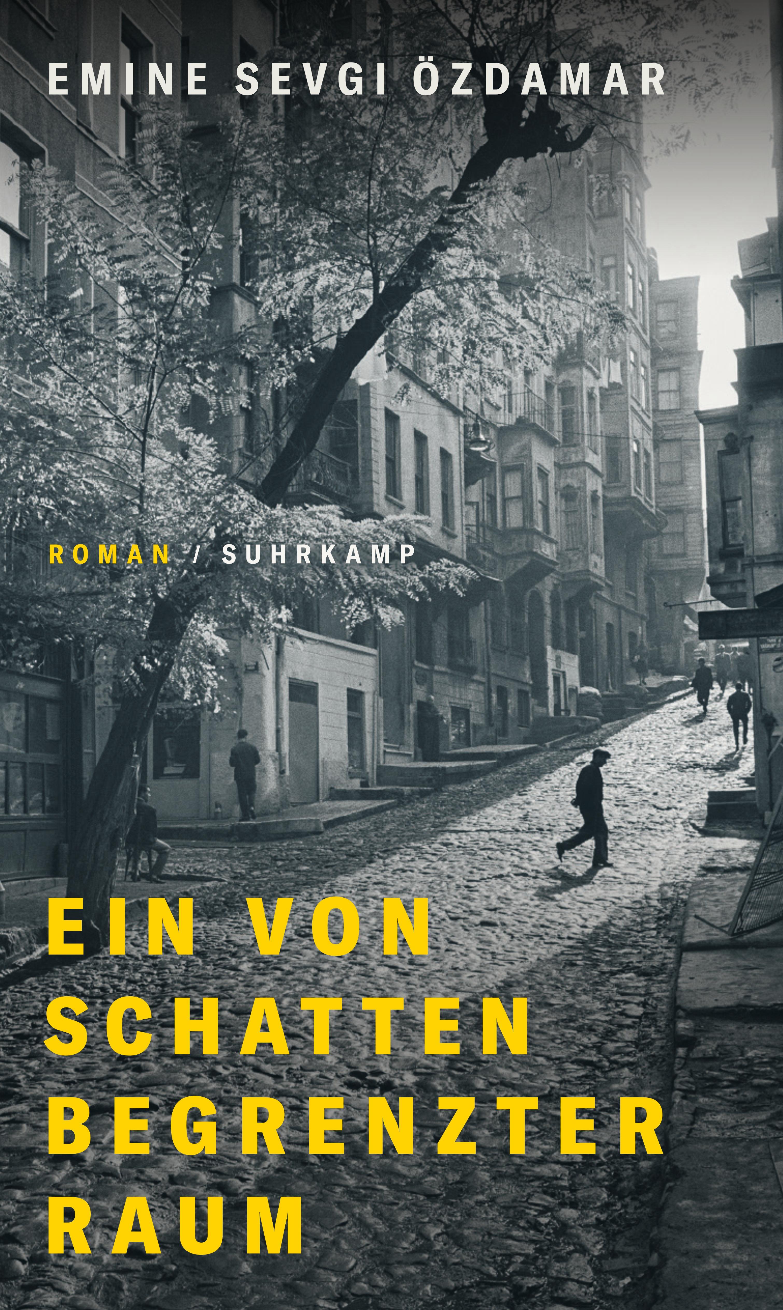Vorderes Coverbild Ein von Schatten begrenzter Raum