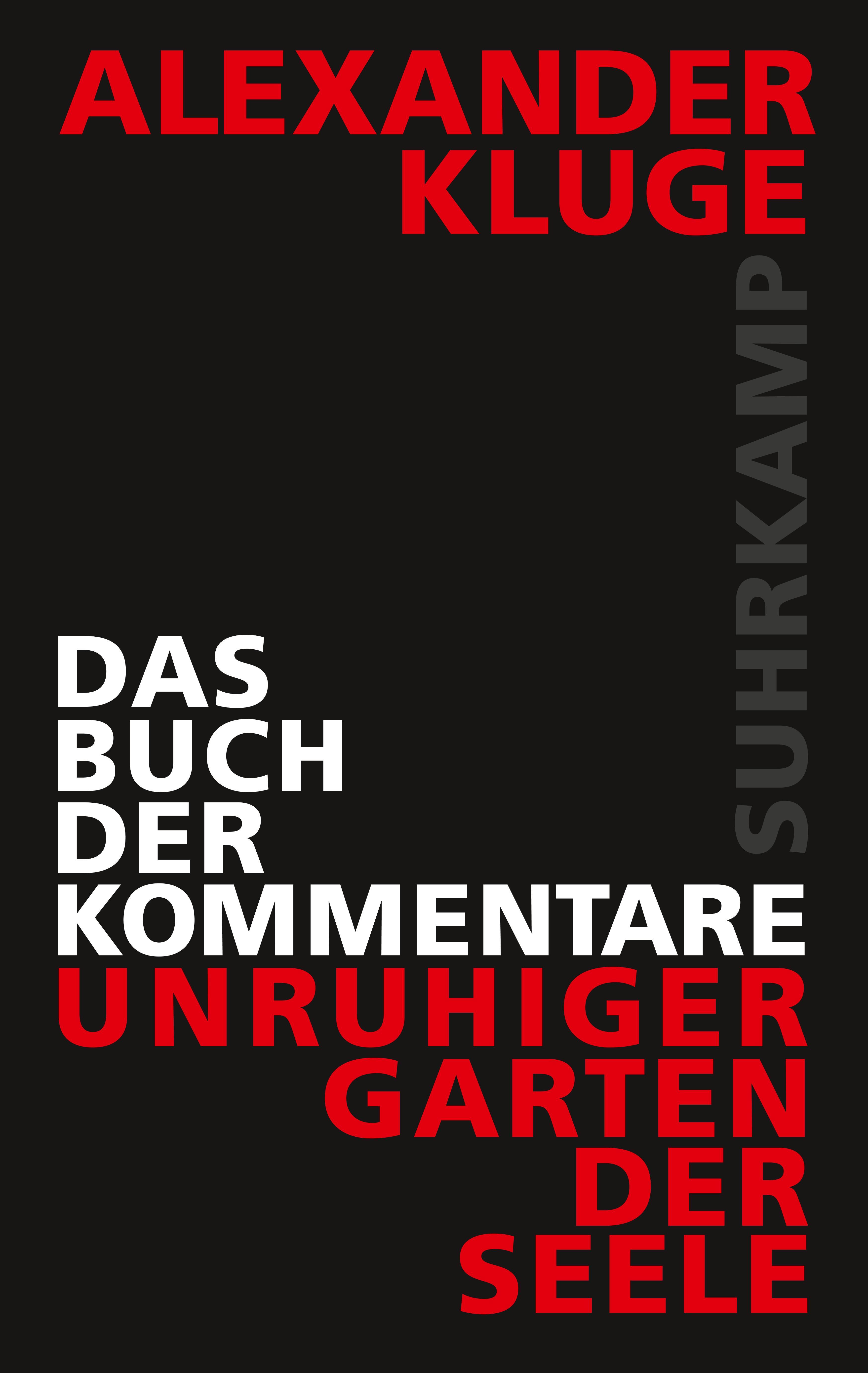 Vorderes Coverbild Das Buch der Kommentare