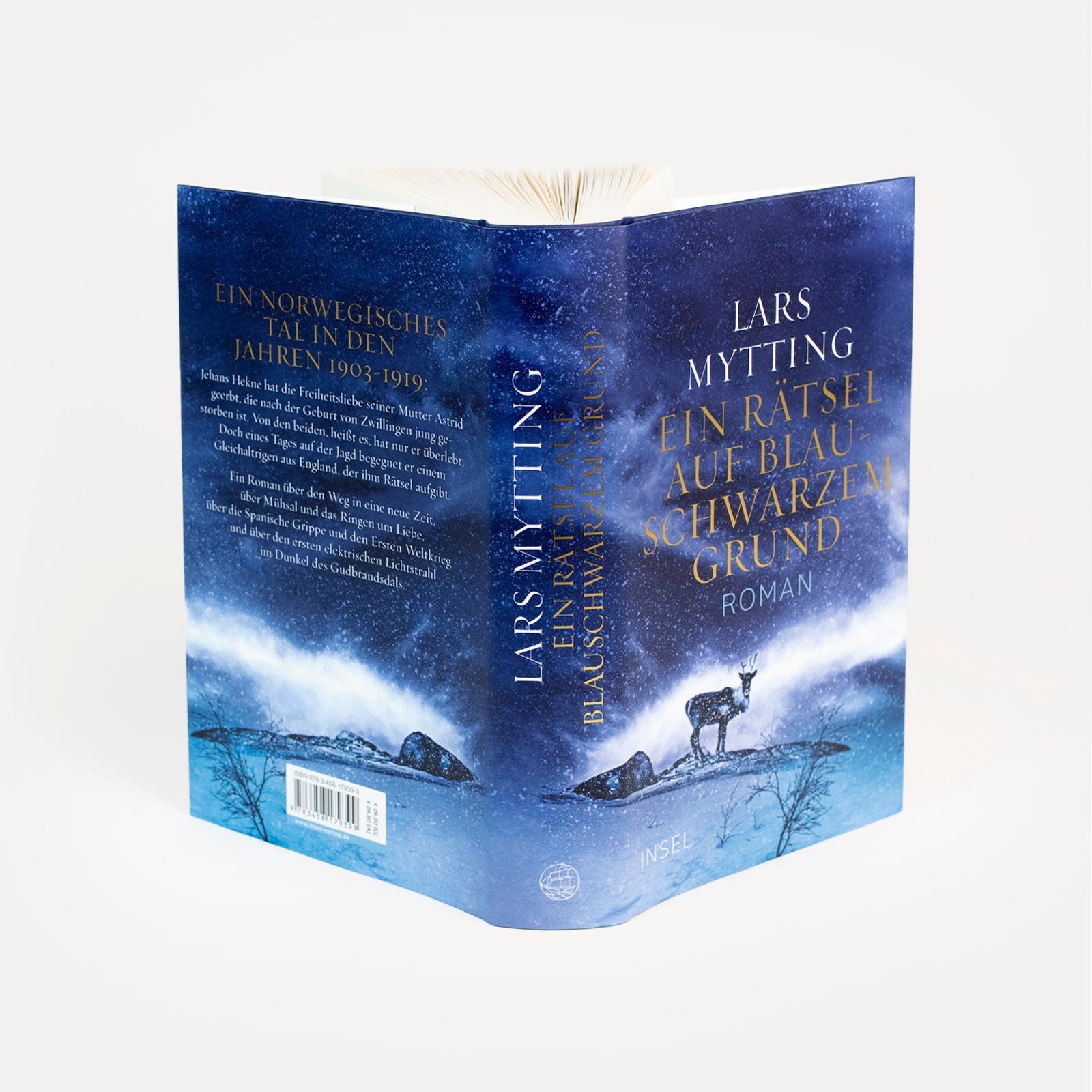 Beispielinhalt (Bild) Ein Rätsel auf blauschwarzem Grund