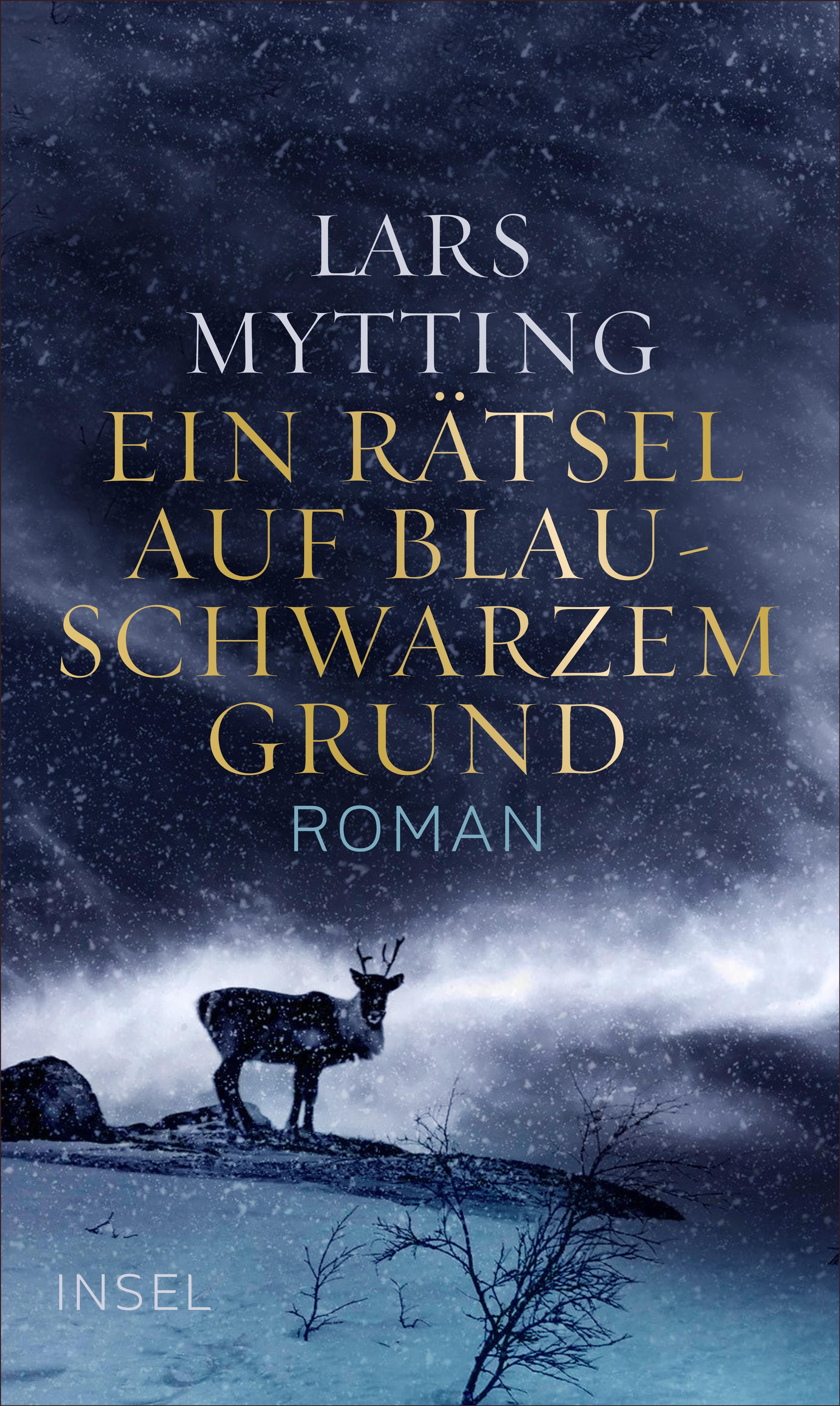 Vorderes Coverbild Ein Rätsel auf blauschwarzem Grund