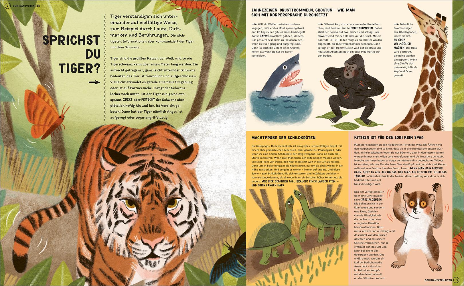 Beispielinhalt (Bild) Wie man mit Tigern spricht