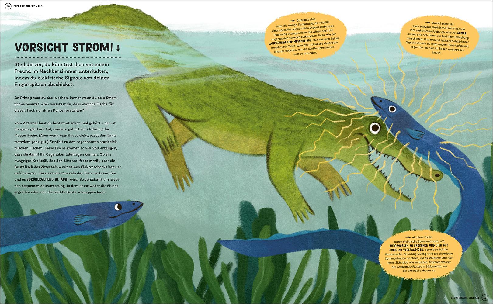 Beispielinhalt (Bild) Wie man mit Tigern spricht