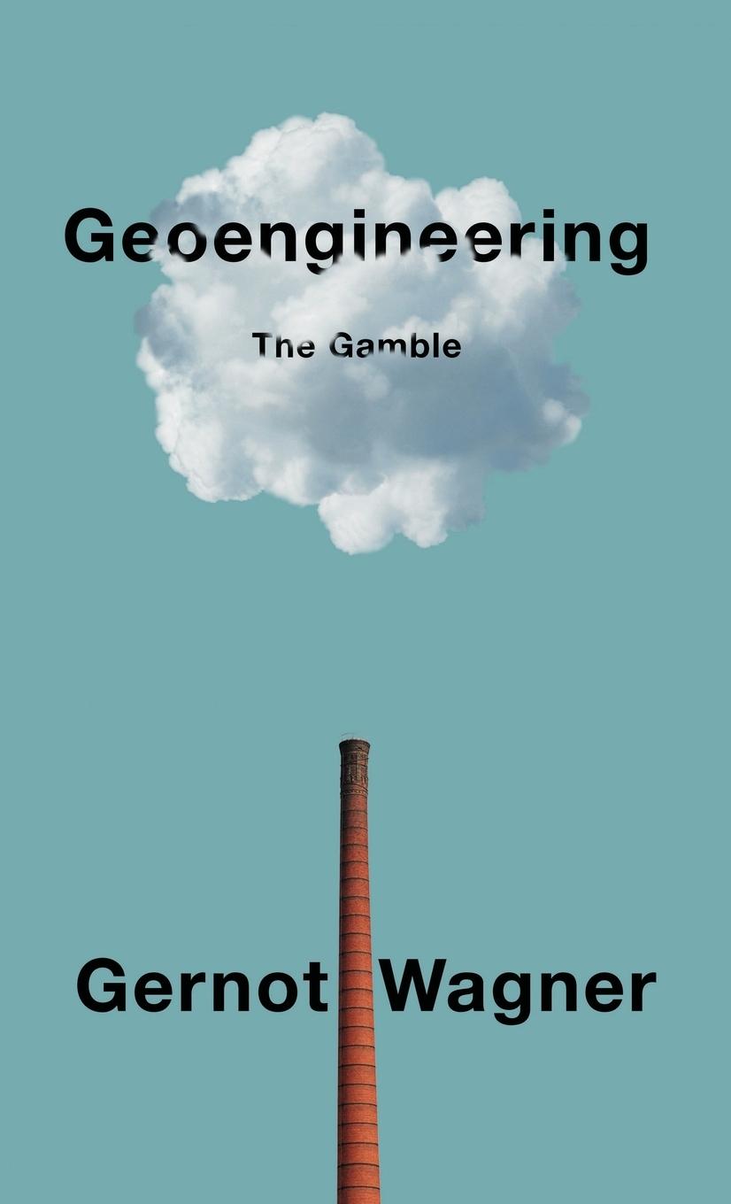 Vorderes Coverbild Geoengineering