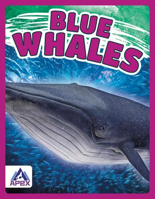 Vorderes Coverbild Blue Whales