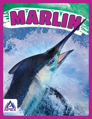 Vorderes Coverbild Marlin