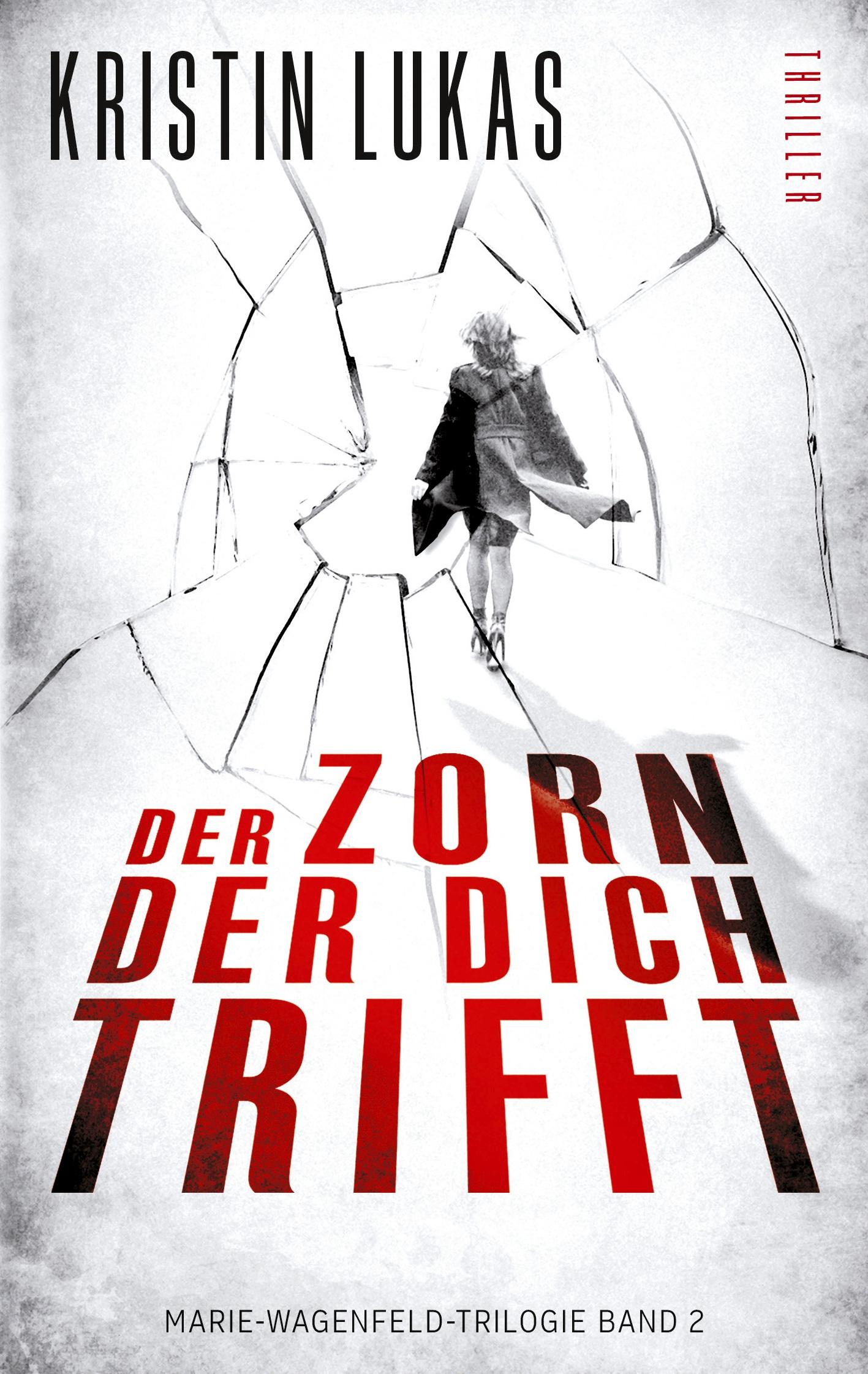 Vorderes Coverbild Der Zorn, der dich trifft