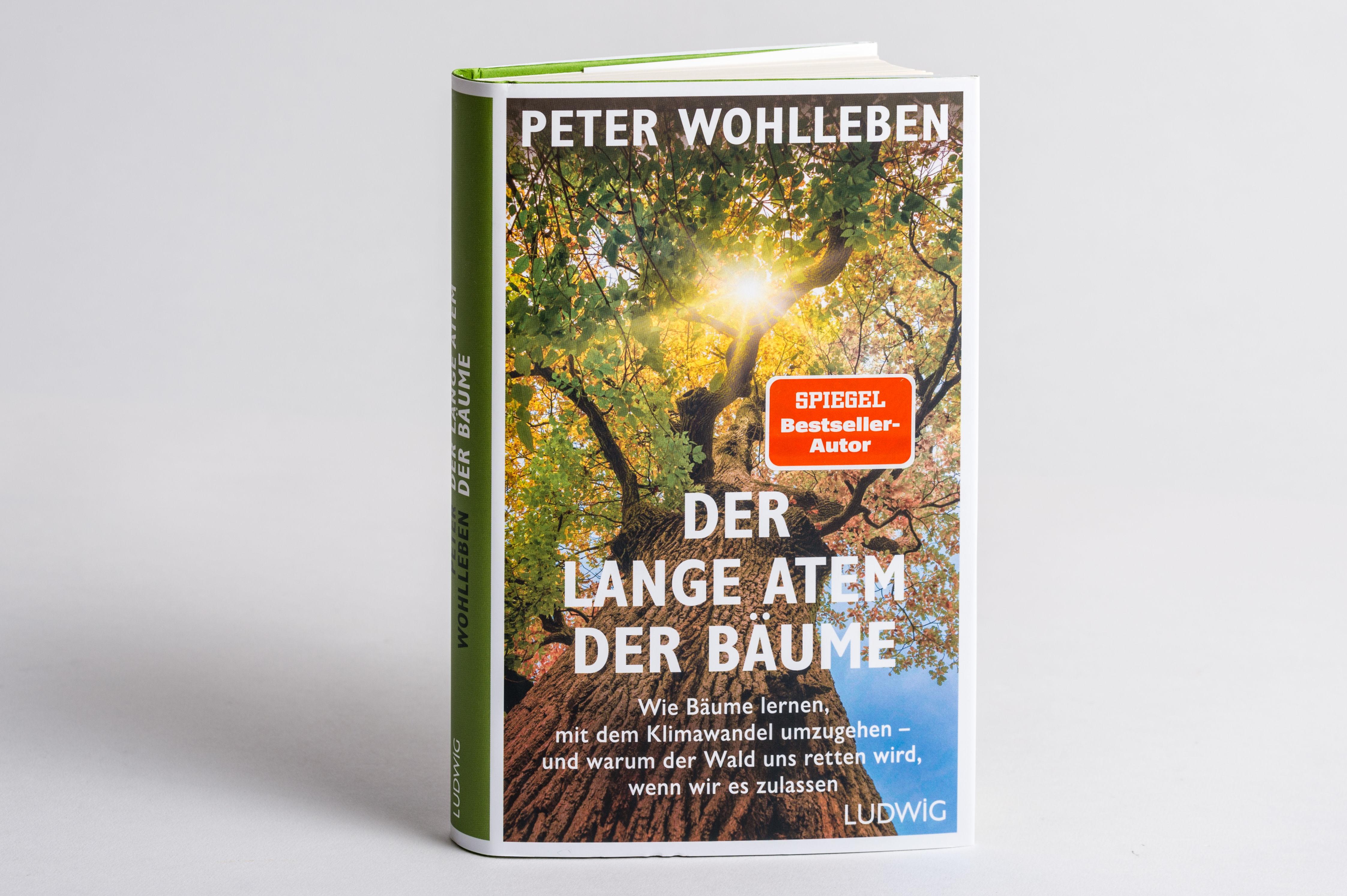 Beispielinhalt (Bild) Der lange Atem der Bäume
