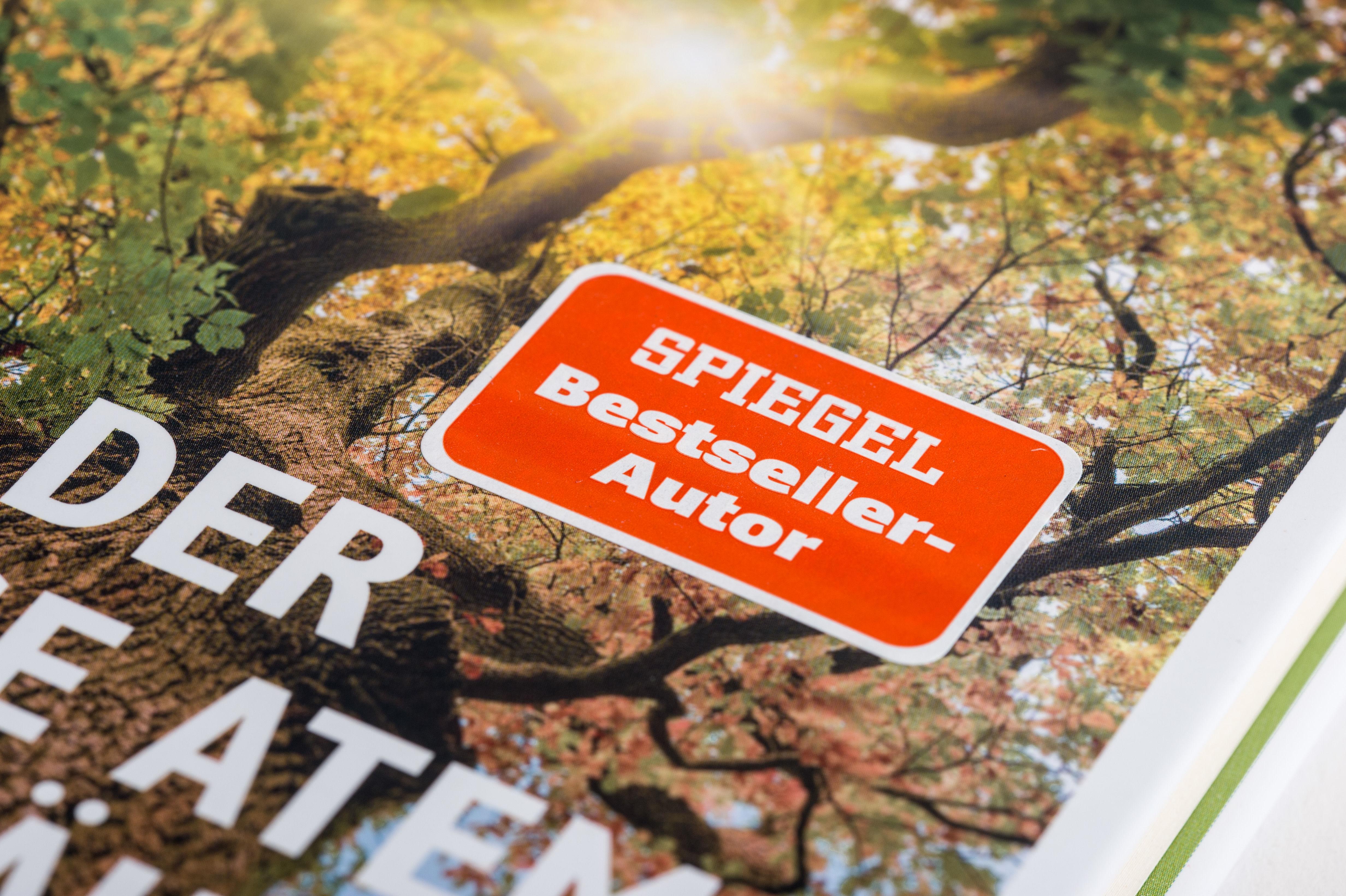 Beispielinhalt (Bild) Der lange Atem der Bäume