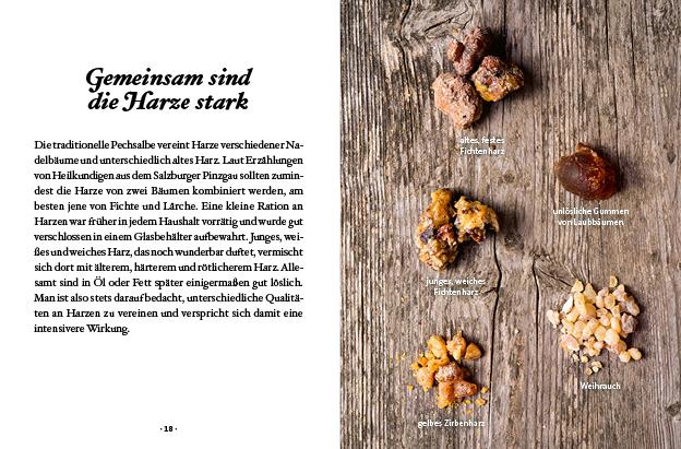 Beispielinhalt (Bild) Das große kleine Buch: Harz- und Pechsalben