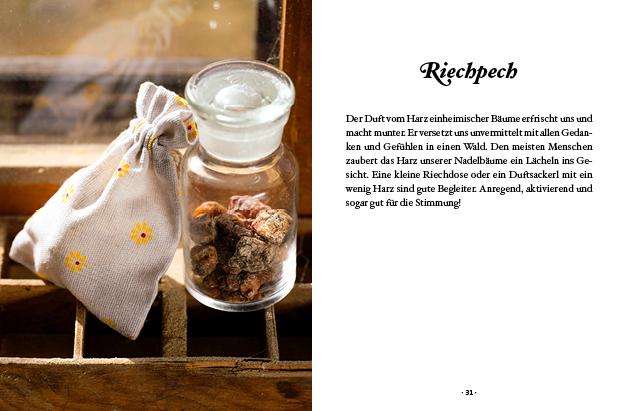 Beispielinhalt (Bild) Das große kleine Buch: Harz- und Pechsalben