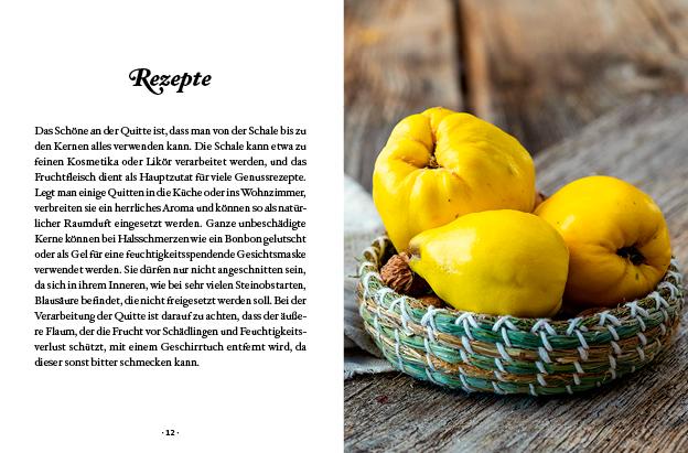 Beispielinhalt (Bild) Das kleine Buch: Quitten in Küche und Kosmetik