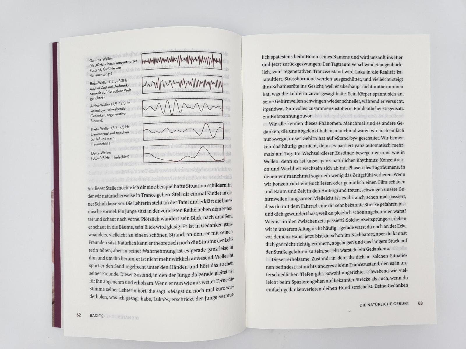 Beispielinhalt (Bild) Die Friedliche Geburt