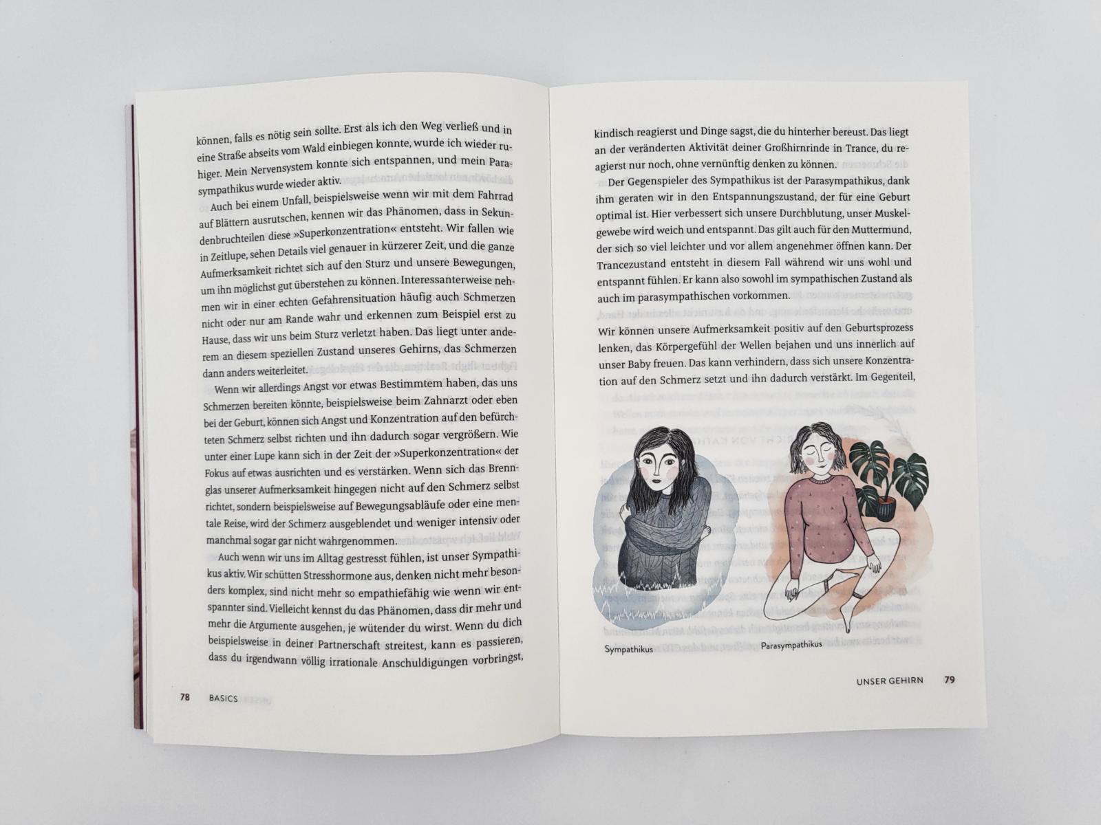 Beispielinhalt (Bild) Die Friedliche Geburt