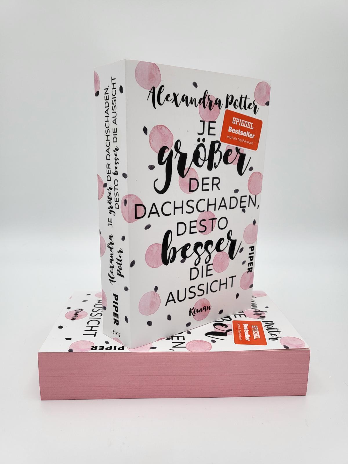 Beispielinhalt (Bild) Je größer der Dachschaden, desto besser die Aussicht