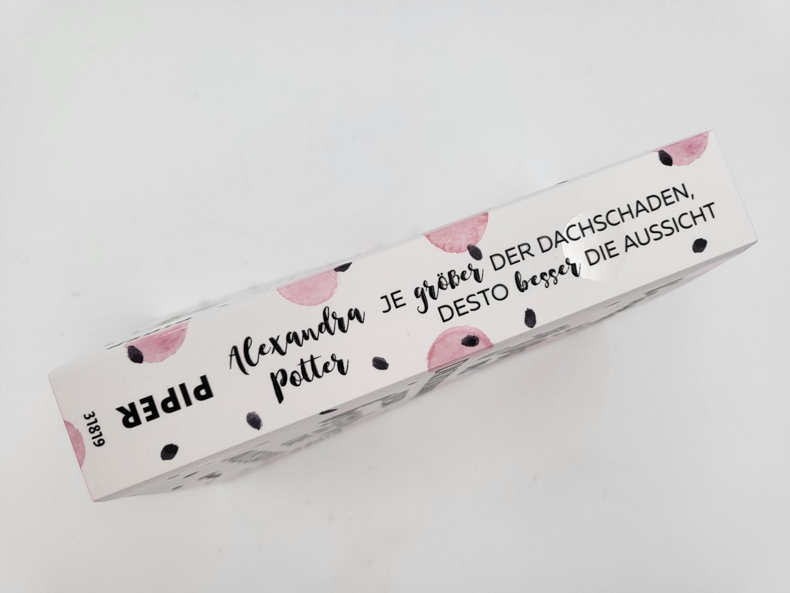 Beispielinhalt (Bild) Je größer der Dachschaden, desto besser die Aussicht