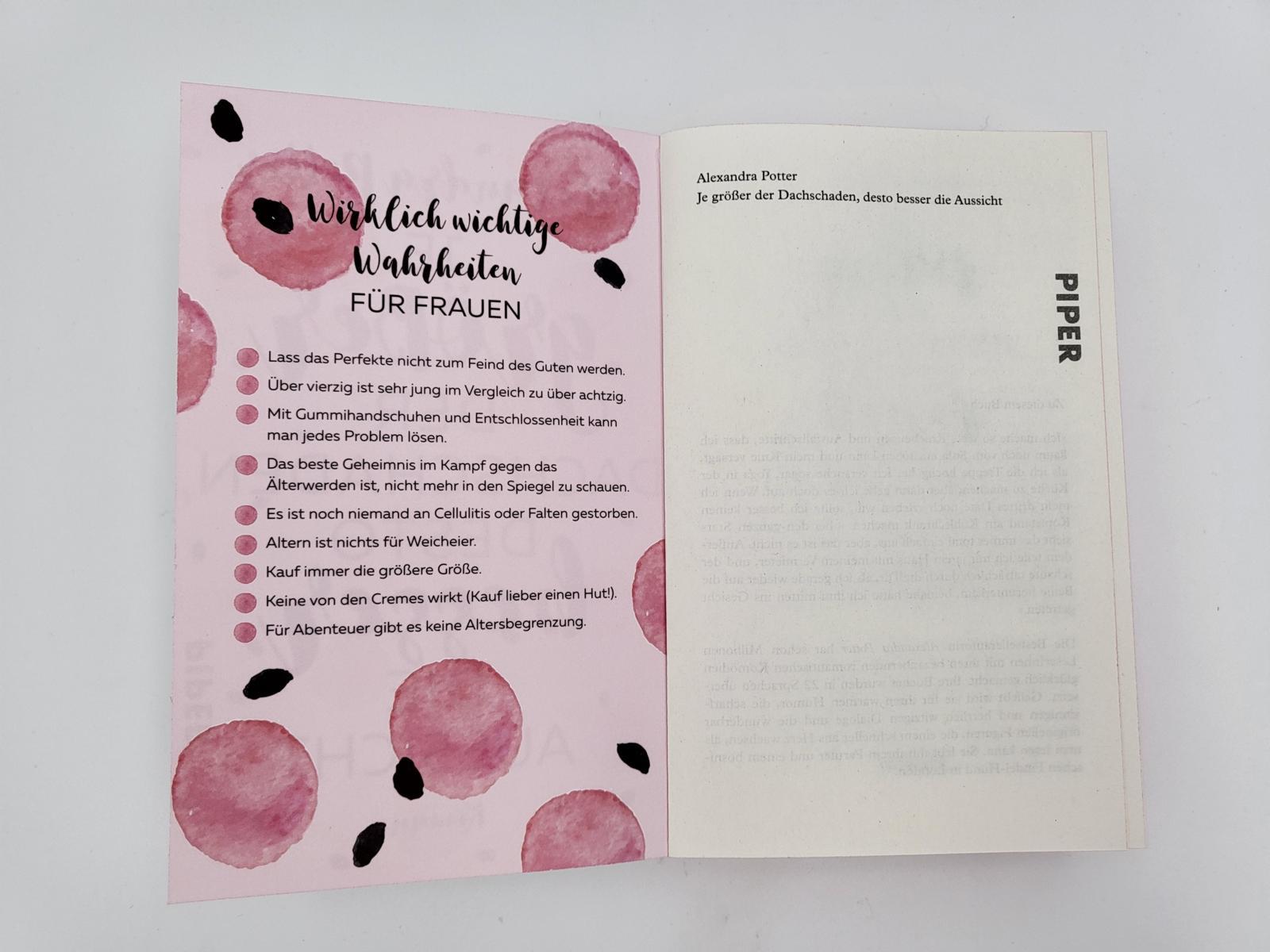 Beispielinhalt (Bild) Je größer der Dachschaden, desto besser die Aussicht