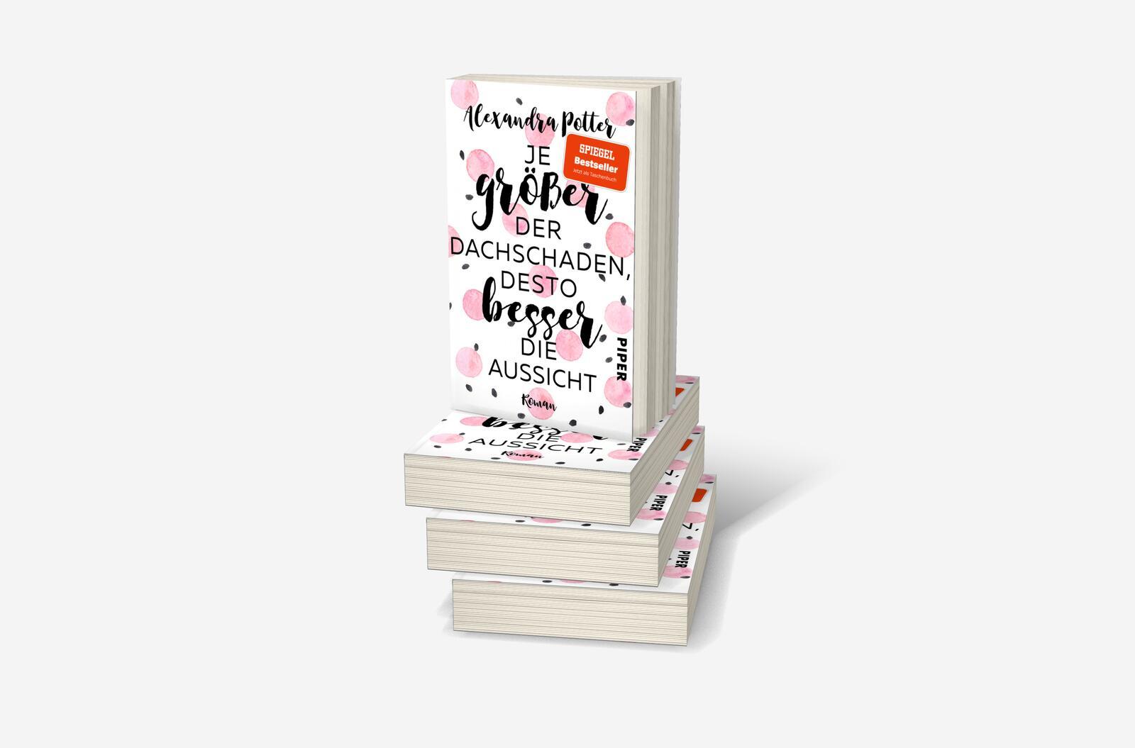 Beispielinhalt (Bild) Je größer der Dachschaden, desto besser die Aussicht