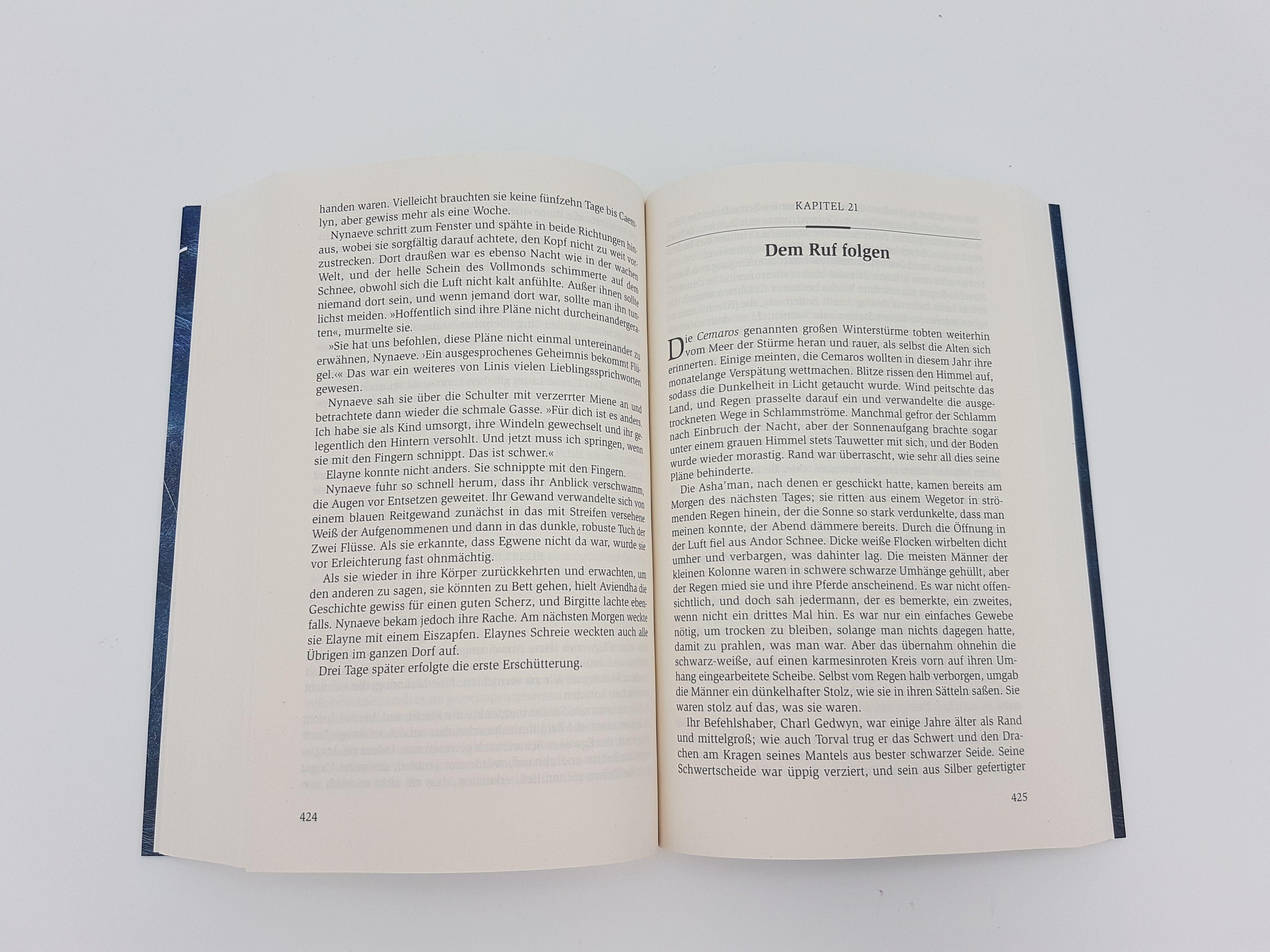 Beispielinhalt (Bild) Das Rad der Zeit 8