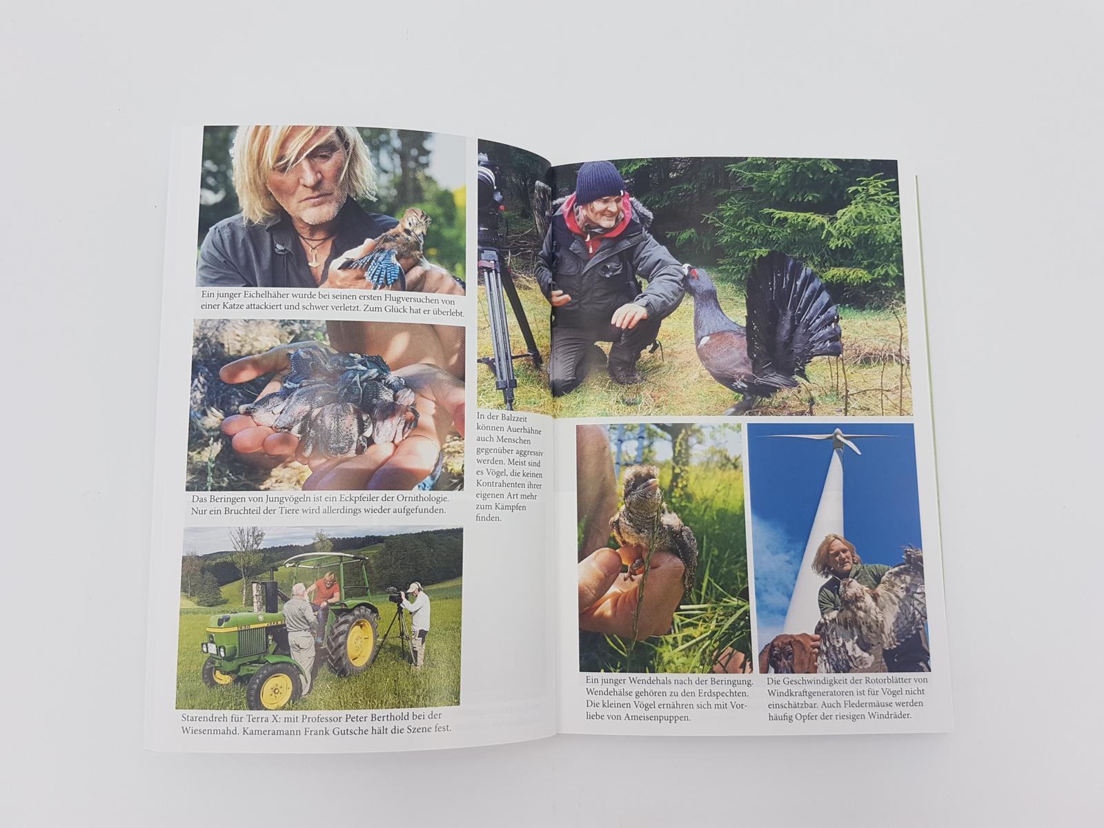 Beispielinhalt (Bild) Kielings kleine Waldschule