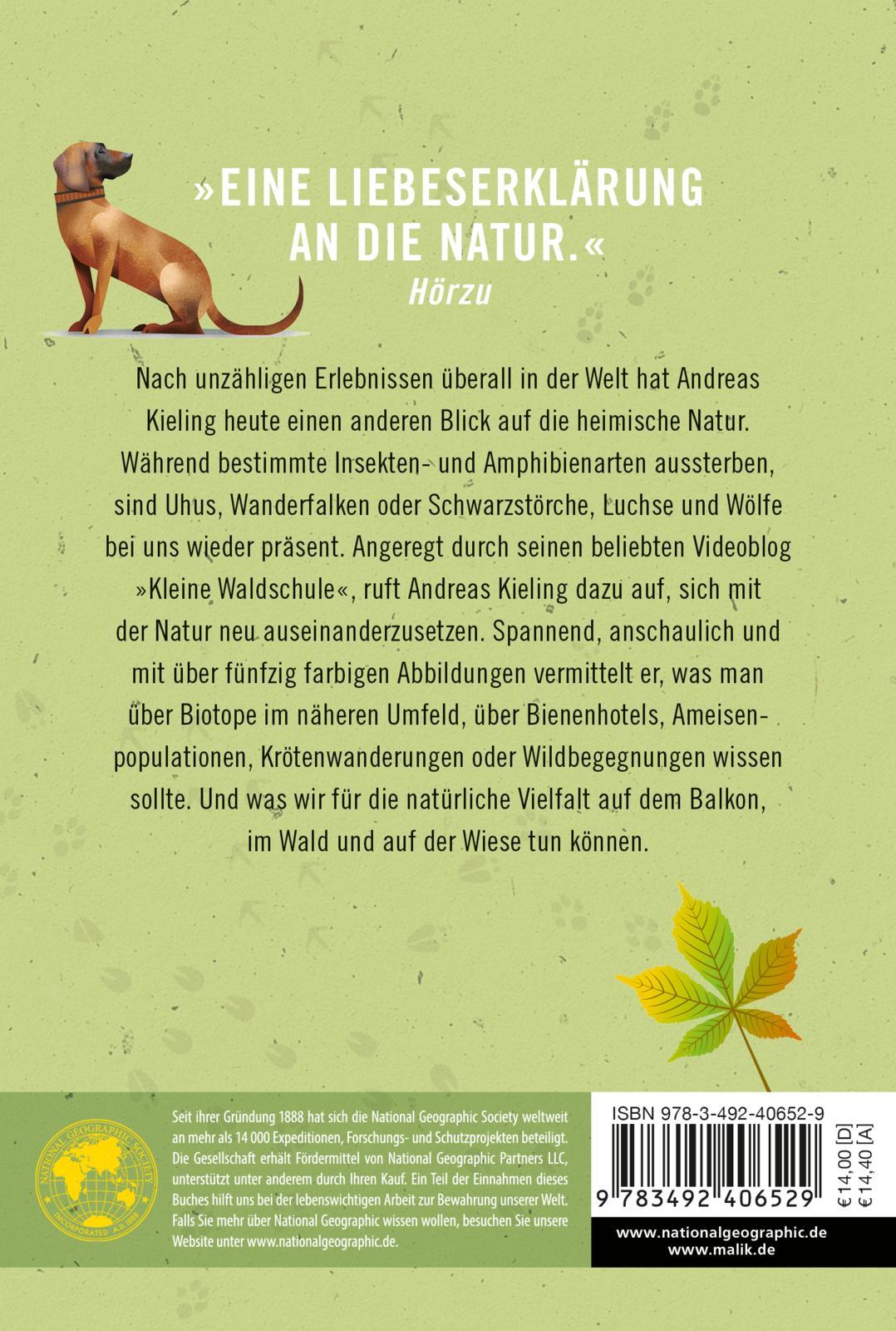 Rückseitencover Kielings kleine Waldschule