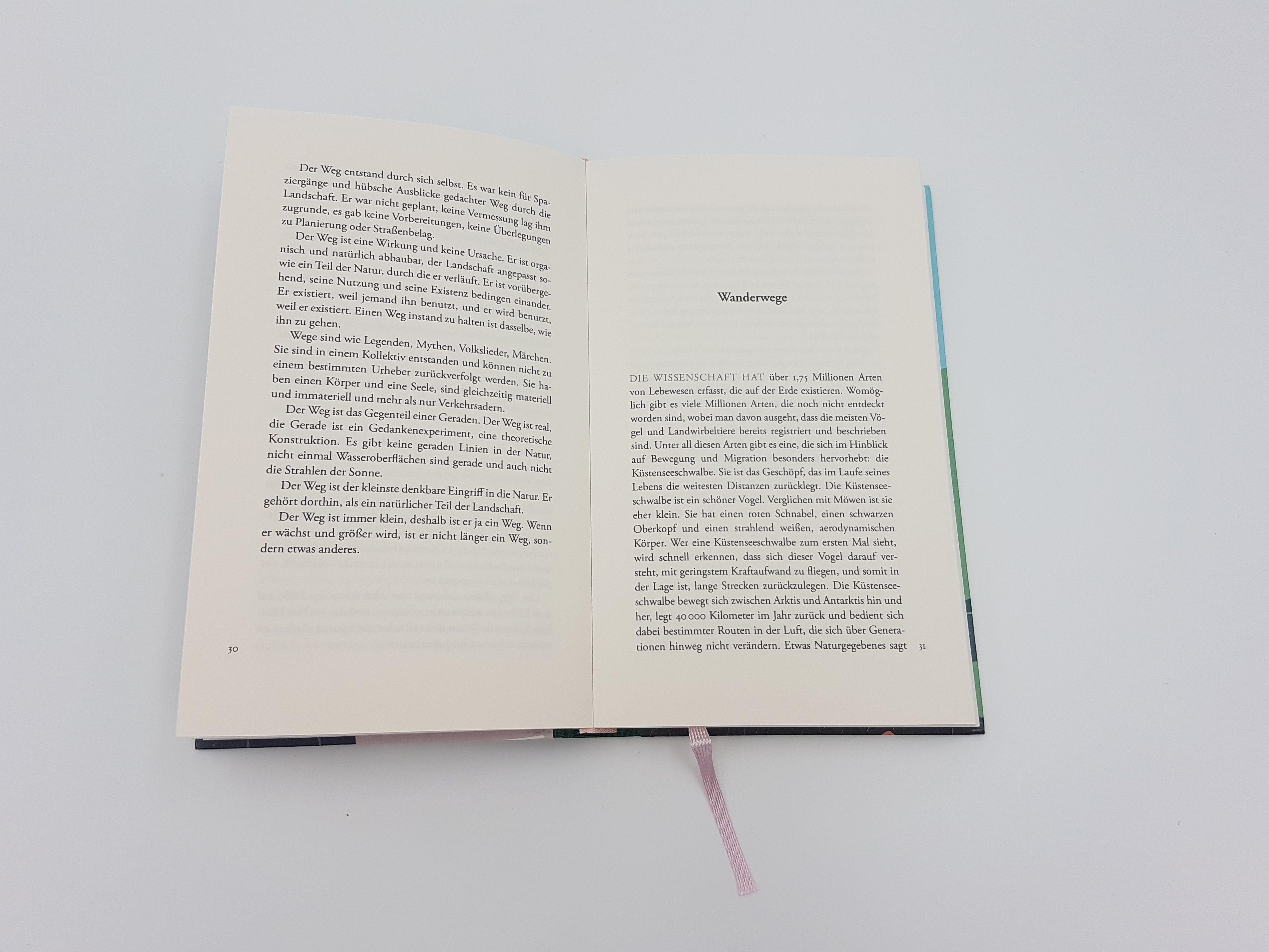 Beispielinhalt (Bild) Gehen